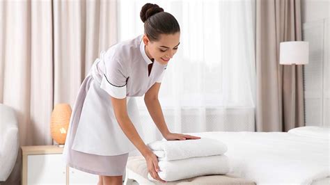 Housekeeper Definition And Meaning With Pictures Picture Dictionary