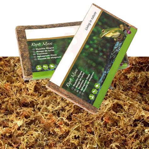 Complete living vivarium starter kit. Reptiles Vivarium Natural Forest Moss Concentrated Pack ...