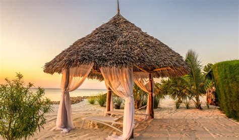 Zanzibar Holidays Zanzibar Beach Holidays Vacation All Inclusive Package