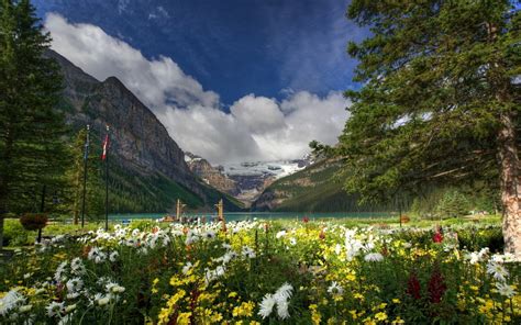 Wallpaper Id 1116750 Lake Louise National 1080p Park Background