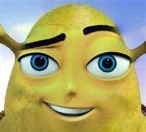 39 Cursed Images That Are Just Plain Wrong Bee Movie Memes Shrek 47424
