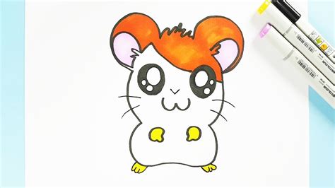 Cute Hamster Drawing At Explore