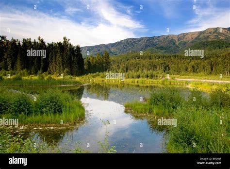 Elk River British Columbia Hi Res Stock Photography And Images Alamy