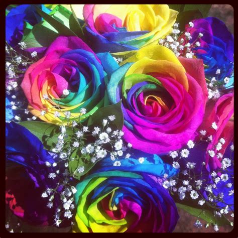 rainbow rose bouquet | Rainbow roses, Rainbow flowers, Rainbow rose
