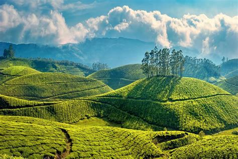 7 Best Places For Trekking In Munnar Spicetree Munnar