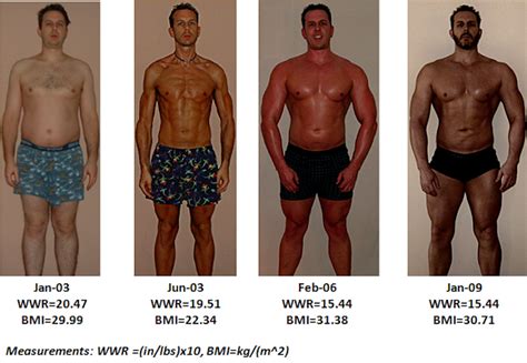 Health Correlator Waist To Weight Ratio Vs Body Max Index