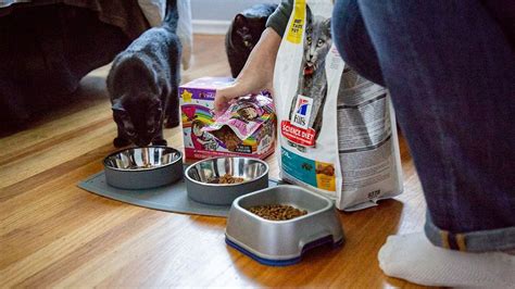 Cats that suffer from certain medical problems can benefit from a special diet designed to alleviate their condition. The best wet cat food - New York Daily News