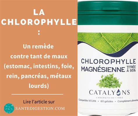 La Chlorophylle Un Rem De Contre Tant De Maux Sant Digestion
