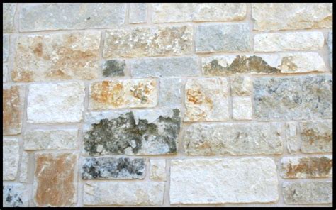 Texas Mix Stone With White Mortar At Exterior Elevation And Interior
