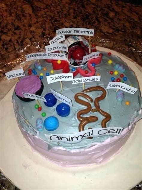 It includes an animal cell model (labeled), the model unlabeled and the animal cell printable labels for. Diagram Of A Cell As Cake 3d Animal Project Plant Wall ...