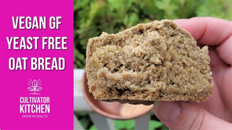 Spray a donut pan with nonstick spray. Gluten-Free Yeast-Free Oil-Free Vegan Oat Bread! No ...