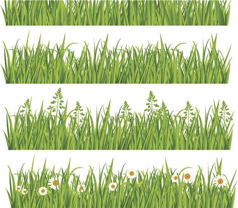 Cross Section Grass Illustrations Royalty Free Vector Graphics And Clip