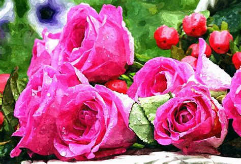 Roses Watercolor Painting Free Stock Photo Public Domain Pictures