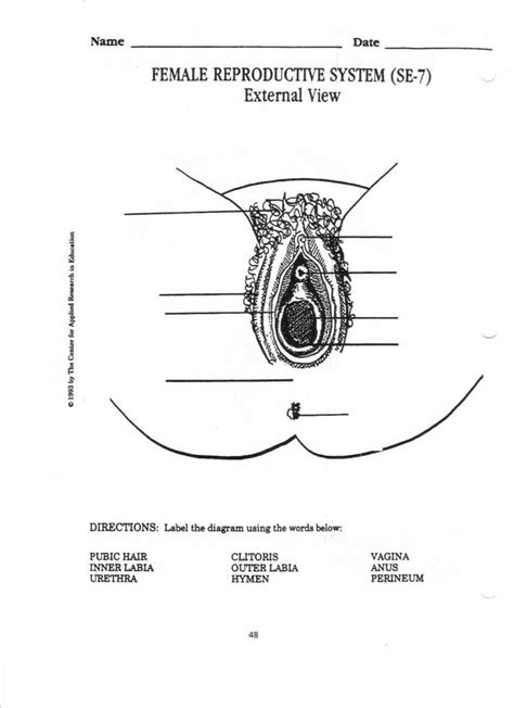 Pin By Agc On Worksheets Reproductive System Female