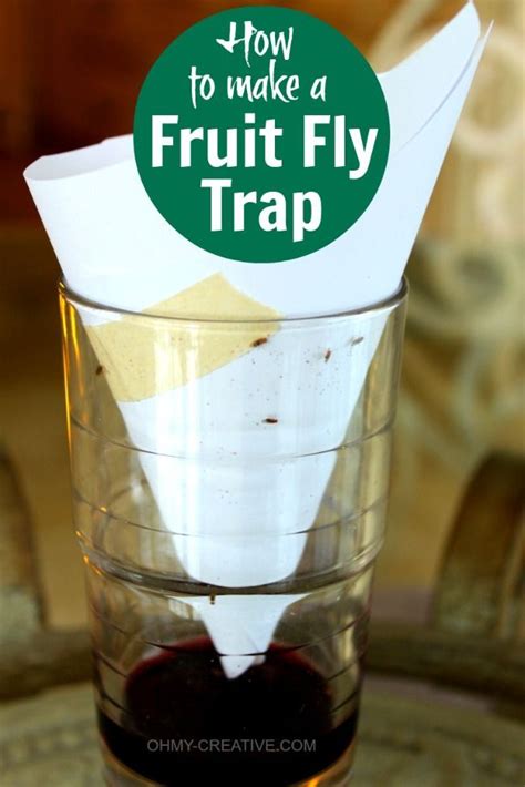 How To Get Rid Of Fruit Flies Oh My Creative Fruit Fly Trap Diy