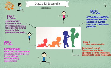 Las 4 Etapas De Piaget