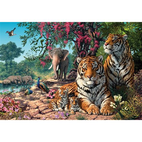 Tiger Sanctuary 1000 Piece Jigsaw Puzzle Bits And Pieces