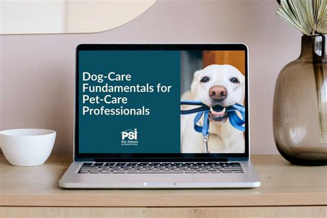 Dog Care Fundamentals For Pet Care Professionals Pet Sitters