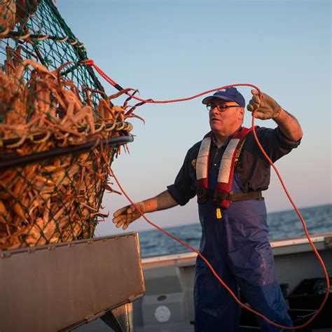 Mecandf Expert Engineers Commercial Fishermen Experience Fatalities At