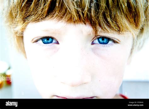 A Pair Of Blue Eyes Looking At The Camera Stock Photo Alamy