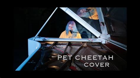 Twenty One Pilots Pet Cheetah Acoustic Cover Youtube