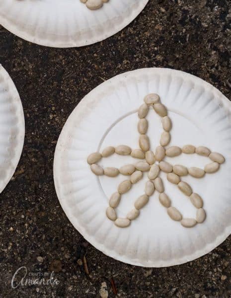 Paper Plate Sand Dollars An Easy And Fun Beach Craft For Kids