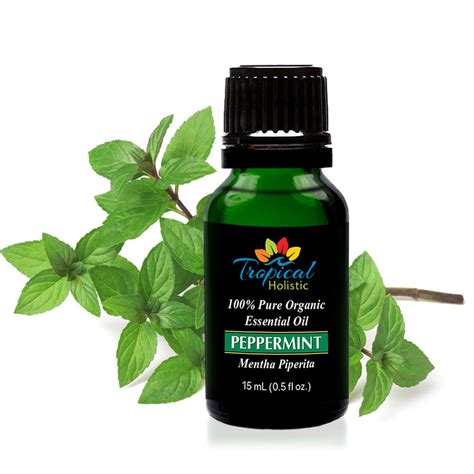 Peppermint Organic Essential Oil 15ml 12 Oz 100 Pure And Undiluted