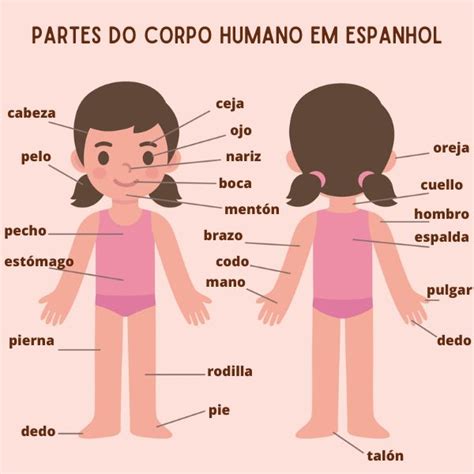Partes do corpo humano em espanhol Mundo Educação