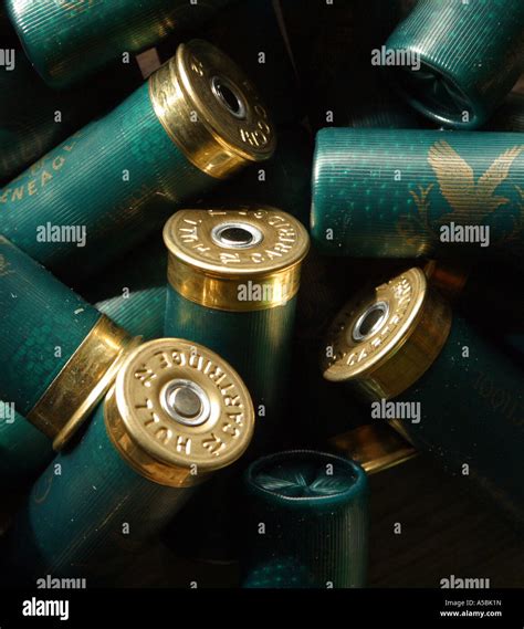 Shot Gun Cartridges Stock Photo Alamy