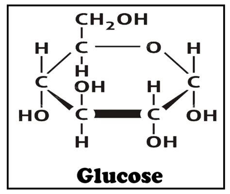 Which One Of The Following Is Reducing Sugar A Glucose Class 11 Biology