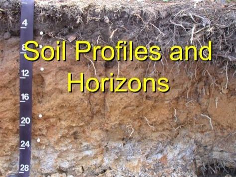 Soil Profiles And Horizons