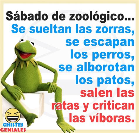 Pin By Maria Martinez On Funny Sarcastic Quotes Funny Funny Spanish