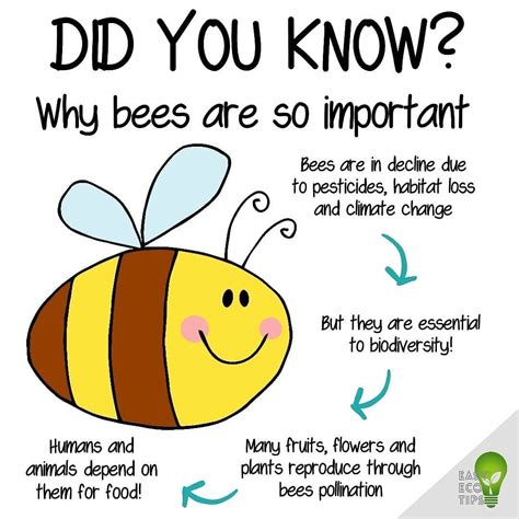 Click On This Image Bee Good Day Quotes Bee Facts