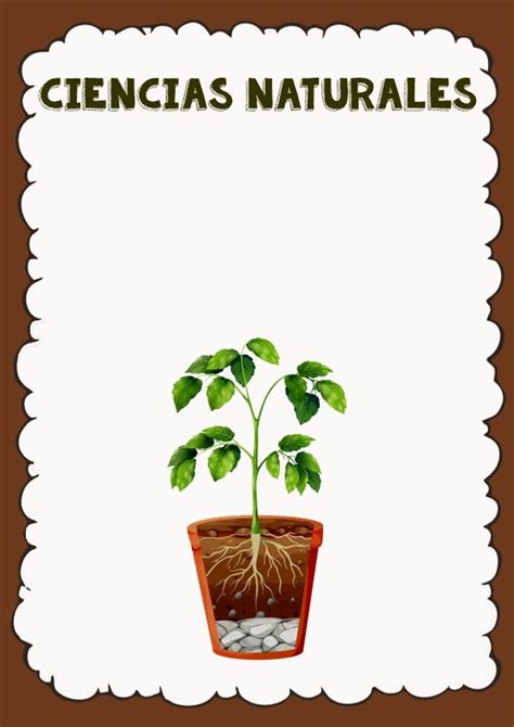 Las Mejores Caratulas Para Cuadernos 【2021 】 Planter Pots Herbs Plants