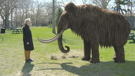 Clone A Woolly Mammoth Scientists Are In It For The Long Haul Nbc News