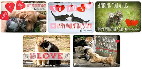 Available 2014 Valentines Day Ecards Alley Cat Allies Cats