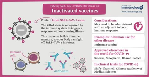 Types of vaccines for COVID-19 | British Society for Immunology
