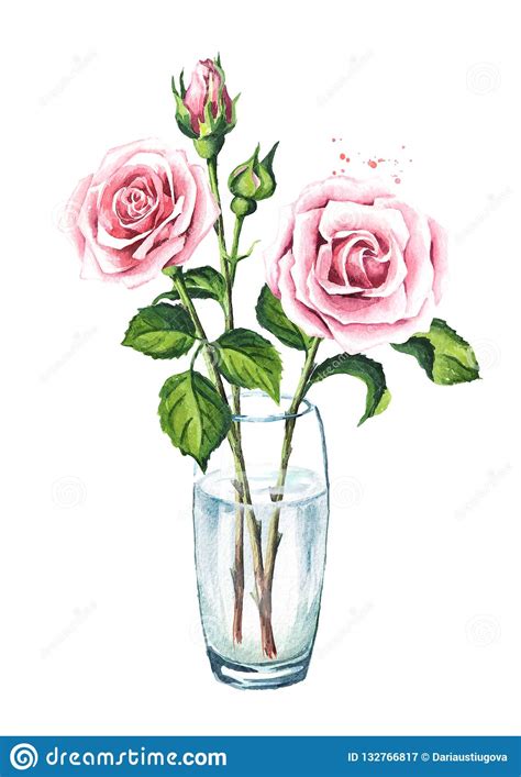 Spring flowers in vase, watercolor illustration. Pink Rose Flowers In A Glass Vase. Watercolor Hand Drawn ...