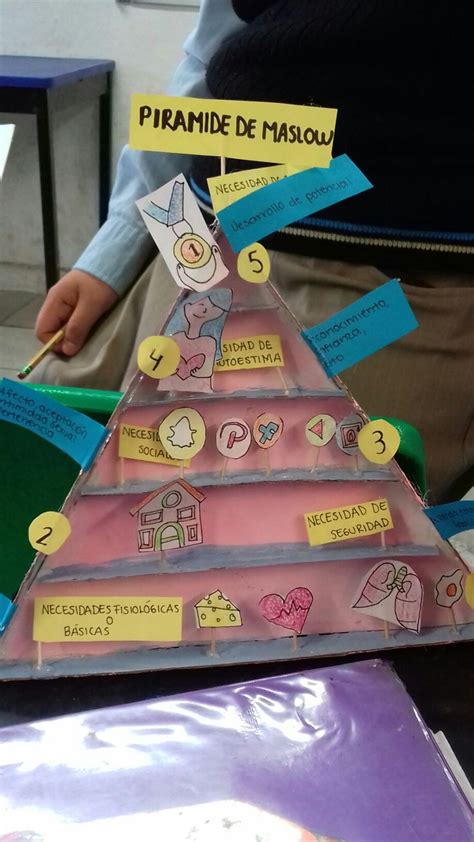 Maqueta Piramide De Maslow Piramide De Maslow Maslow Neurociencia Y