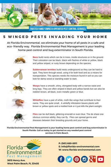 Hire the best pest control services in west palm beach, fl on homeadvisor. From #whiteflies to #termites, call the best West Palm ...