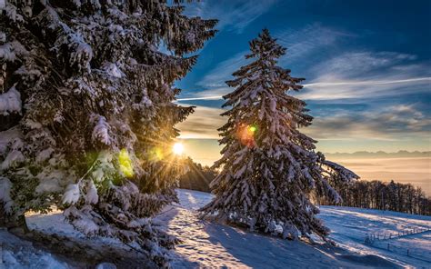 Free Download Winter Landscapes 4k Ultra Hd Backgrounds Wallpaper Hd