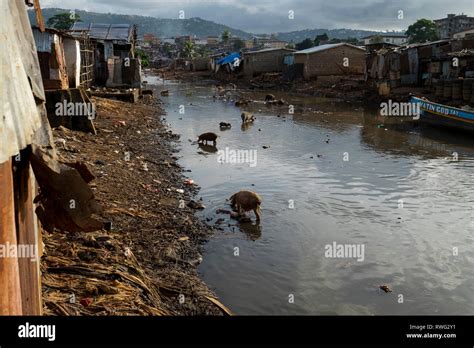 Kroo Bay Einer Der Schlimmsten Slums In Freetown Sierra Leone Ein