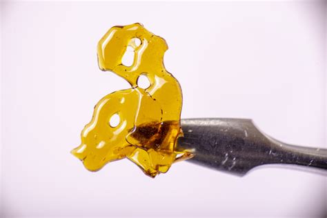 The World Of Dabs Shatter Thc Oil A Guide To Cannabis Concentrates
