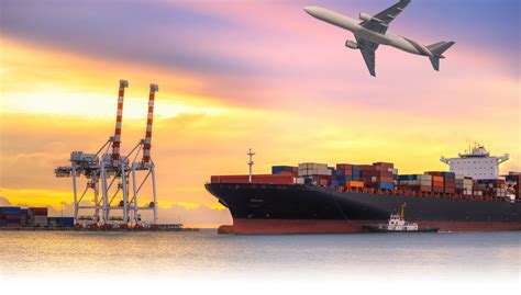 Danesi Usa International Freight Forwarder And Logistics
