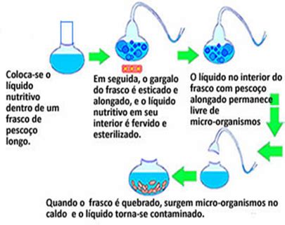 Die biogenese subst kein plur. Teoria da Biogênese ~ A Origem da Vida na Terra
