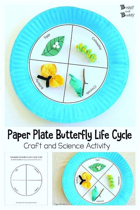 Butterfly Life Cycle Paper Plate Craft Life Cycle Craft Butterfly