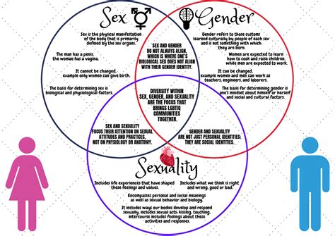Module 1 Gender And Sexuality As A Social Reality Lesson 1 Venn