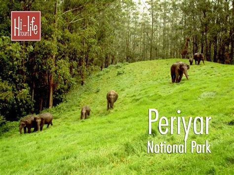 √ Periyar National Park Kerala Tourism
