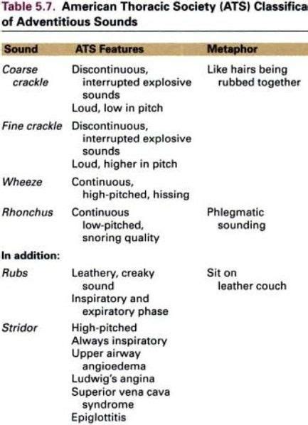 Adventitious Lung Sounds Respiratory Care Nursing Mnemonics