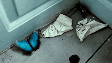 A Blue Butterfly Sitting On The Ground Next To A Door